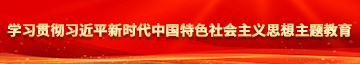 操殴卅美女视频学习贯彻习近平新时代中国特色社会主义思想主题教育